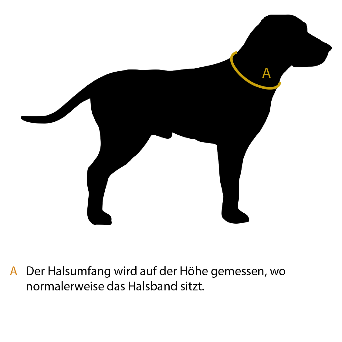 Halstuch - Assistenzhund