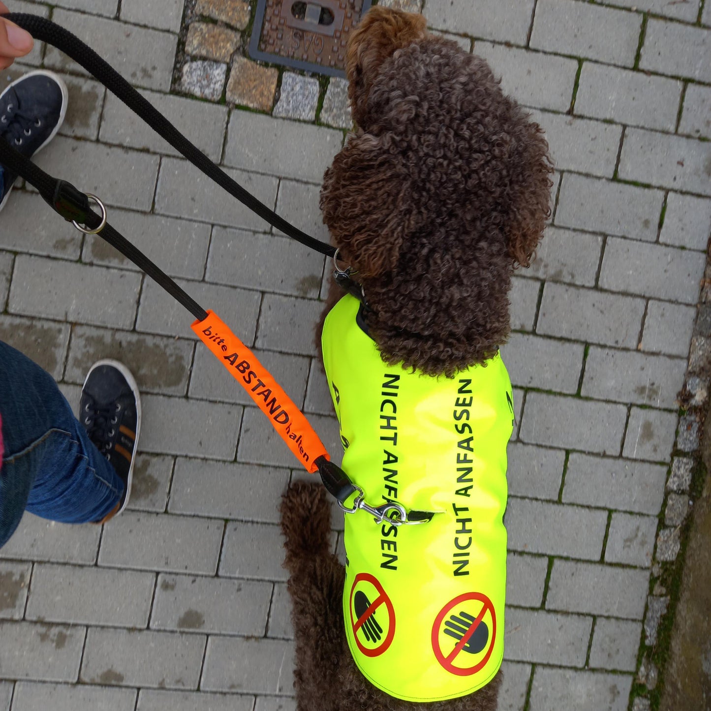 Kenndecke - Assistenzhund