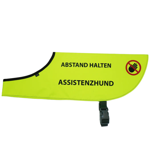 SALE: Kenndecke Assistenzhund (mittelgroßer Hund)